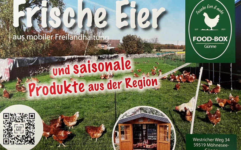 Food Box Günne.jpg