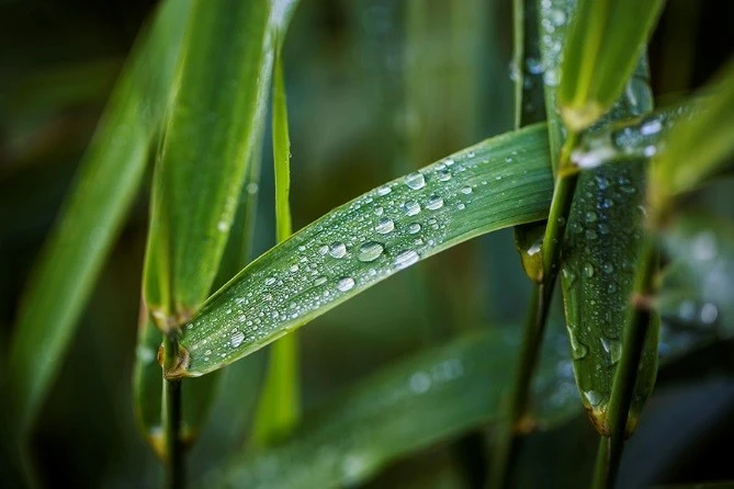 Bildausschnitt M&ouml;hneLife.jpg